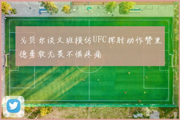 戈贝尔谈文班模仿UFC挥肘动作赞里德勇敢无畏不惧疼痛