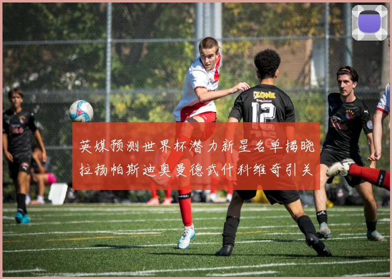 英媒预测世界杯潜力新星名单揭晓拉扬帕斯迪奥曼德武什科维奇引关注