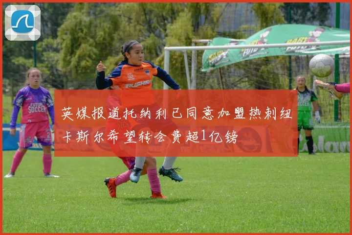 英媒报道托纳利已同意加盟热刺纽卡斯尔希望转会费超1亿镑